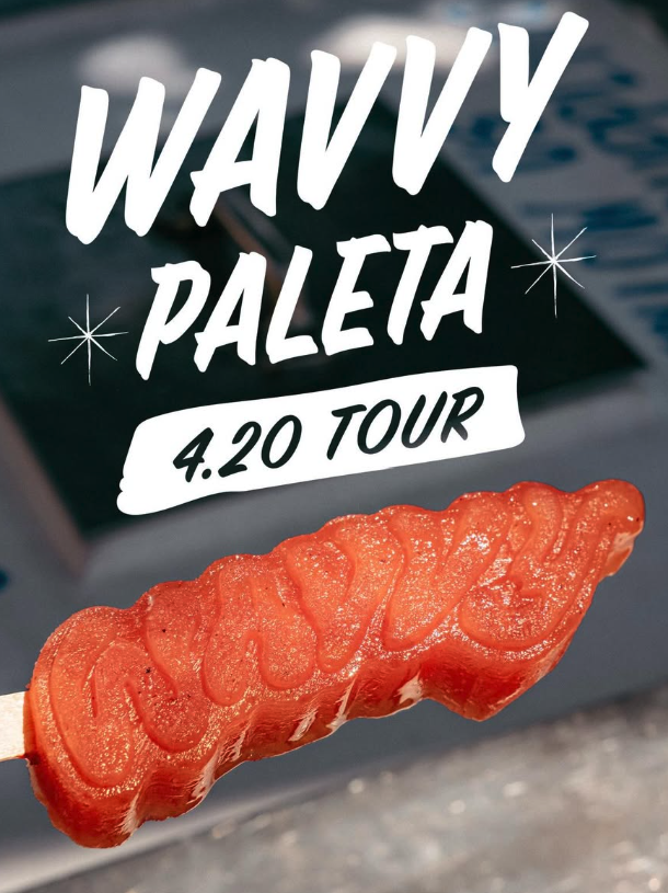 Wavvy Paleta Tour